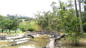 Hutan Lipur Bukit Panchor