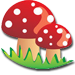 mushroom