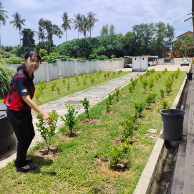 Penilaian Anugerah Sekolah Hijau 2024 Skjc Jawi 1