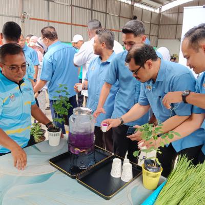 Laporan Pameran Jualan Pokok Sayur Sayuran Kompos Di Sek. Keb. Kebun Sireh 2