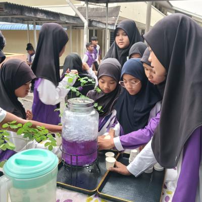 Laporan Pameran Jualan Pokok Sayur Sayuran Kompos Di Sek. Keb. Kebun Sireh 6