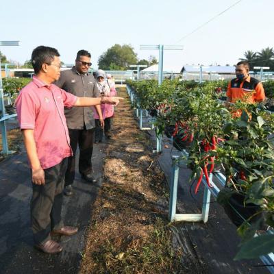 Pusat Pendidikan Hijau Edugreen Center Mbsp 3