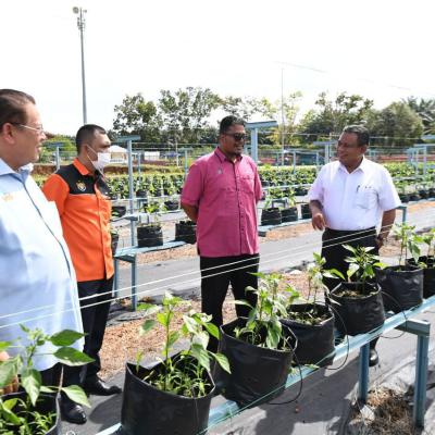 Pusat Pendidikan Hijau Edugreen Center Mbsp 6