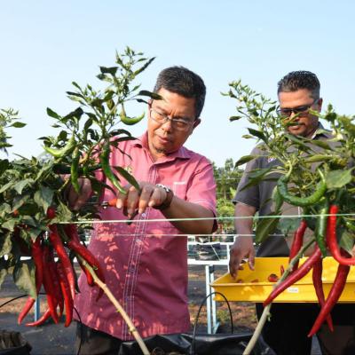 Pusat Pendidikan Hijau Edugreen Center Mbsp 9