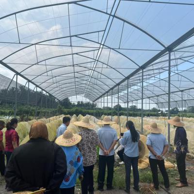 Lawatan Tapak Ke Kebun Vitrox Agritech Sdn Bhd 3
