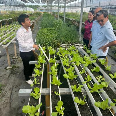Lawatan Tapak Ke Kebun Vitrox Agritech Sdn Bhd 4