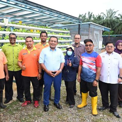 Harvest Pokok Cili Di Pph Padang Chempedak 1
